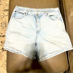Abercrombie & Fitch Dad Shorts Curve Love